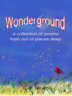 cover image of Wonderground
